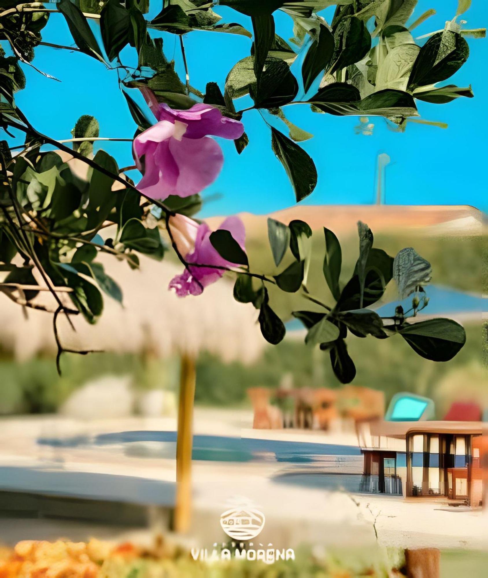 Pousada Villa Morena Pôrto de Pedras 외부 사진
