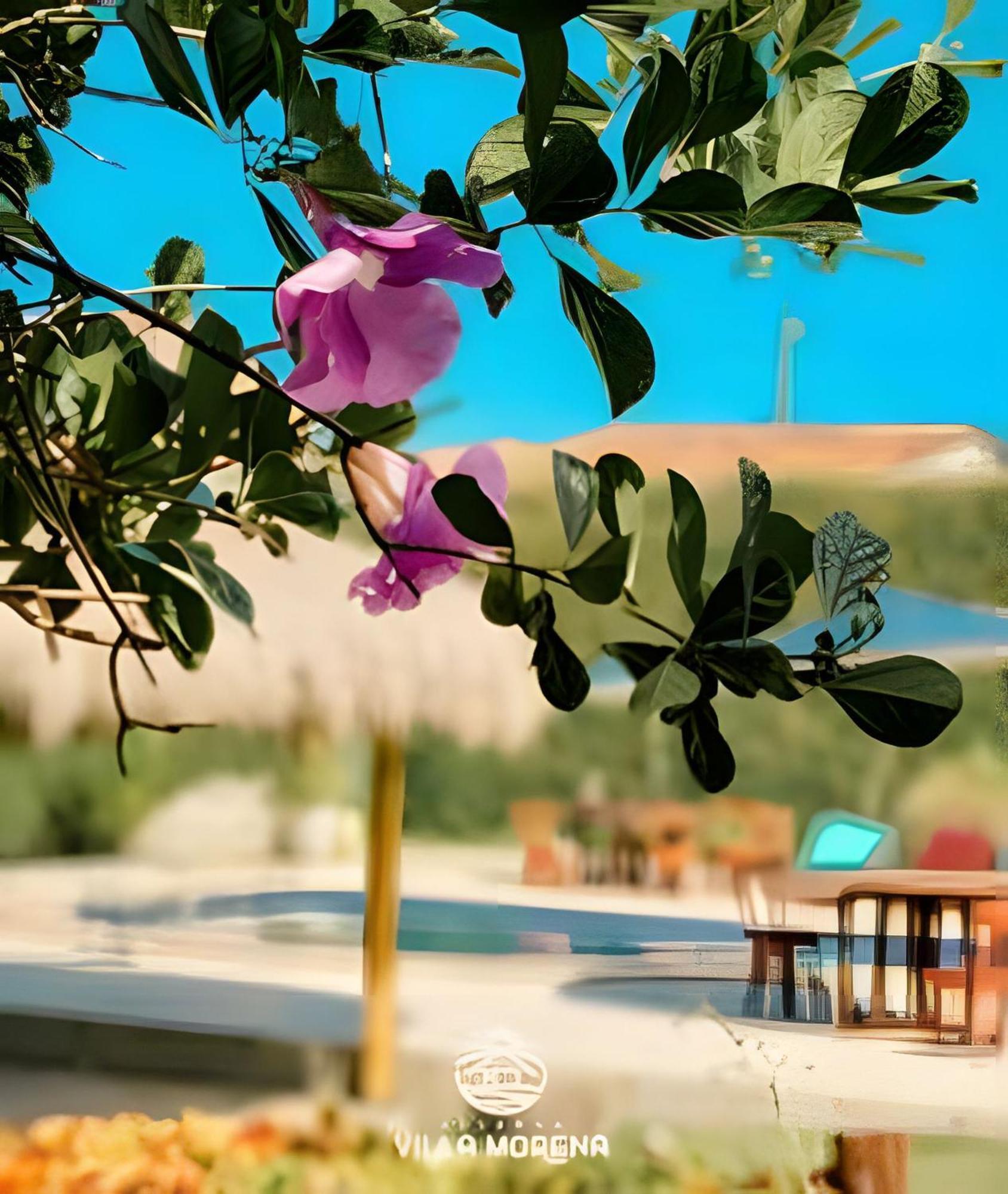 Pousada Villa Morena Pôrto de Pedras 외부 사진